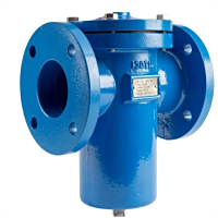 T Strainer