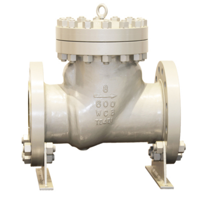 Swing Check Valve